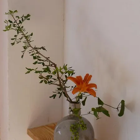Aux Jardins De Fabie * トゥールーズ