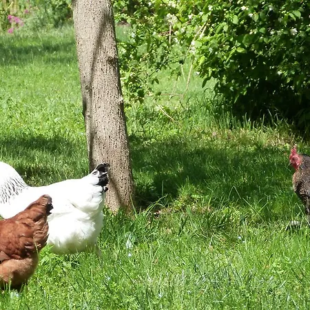 Bed & Breakfast Aux Jardins De Fabie *