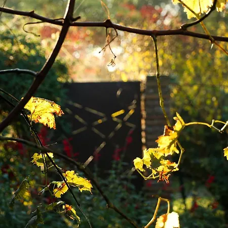 Aux Jardins De Fabie Frühstückspension