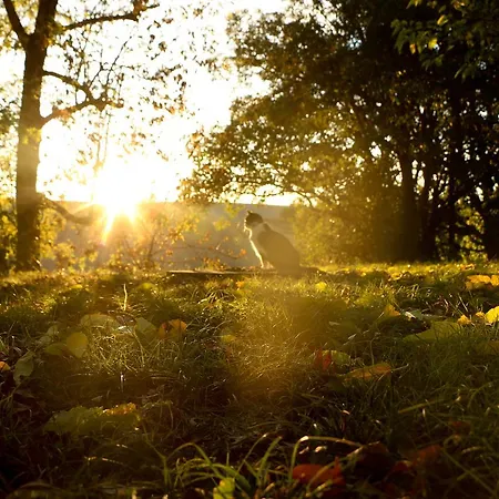 Aux Jardins De Fabie Bed & Breakfast *