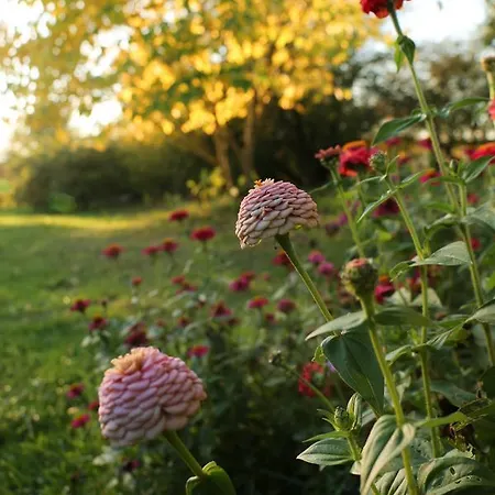 Aux Jardins De Fabie Bed & Breakfast *