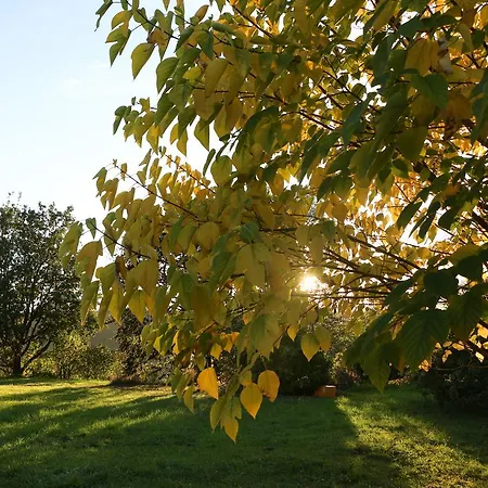Bed & Breakfast Aux Jardins De Fabie Toulouse