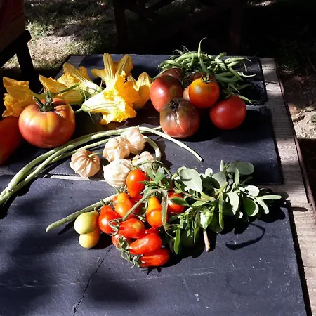 Aux Jardins De Fabie Bed & Breakfast